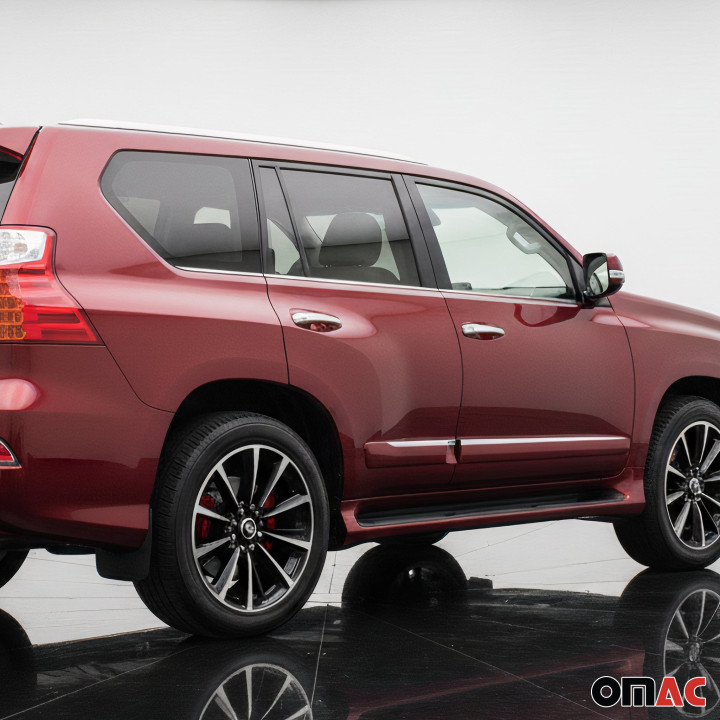 2010-2013 Lexus GX 460 Window Molding Trim Streamer Stainless Steel Silver 6-Piece